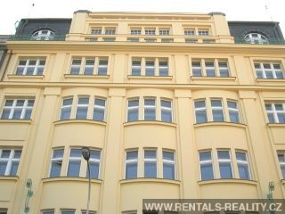 Pic 10