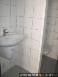 Pic 8