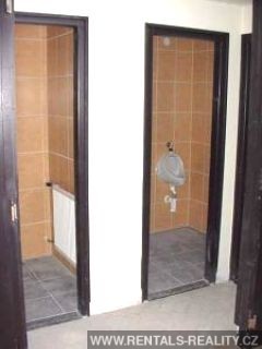 Pic 5