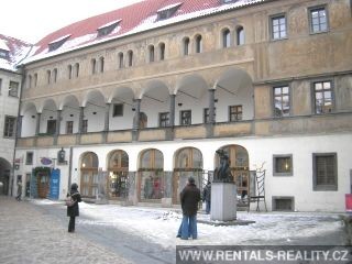 Pic 7