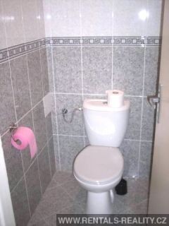 Pic 8