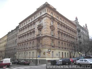 Pic 10