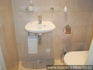 Pic 8