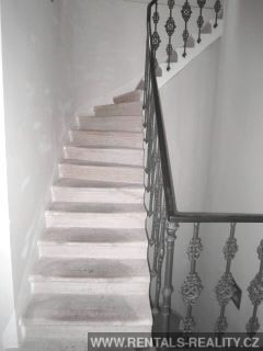 Pic 11
