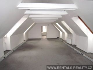 Pic 13