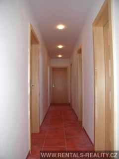 Pic 11
