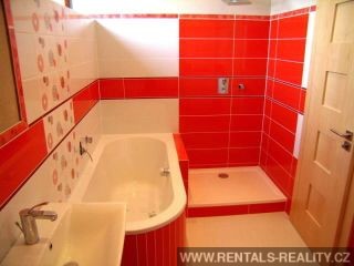 Pic 12