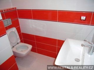 Pic 13