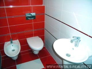Pic 14