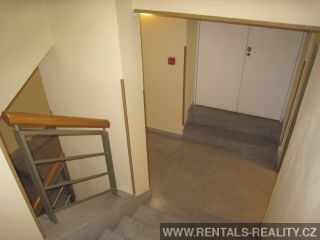 Pic 11