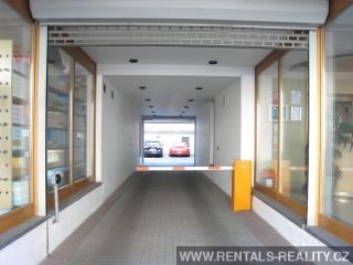 Pic 16