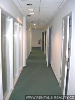 Pic 5