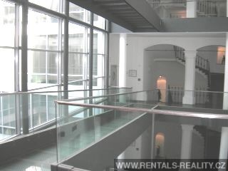 Pic 7