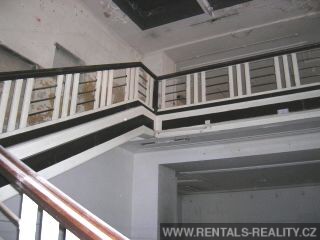 Pic 6