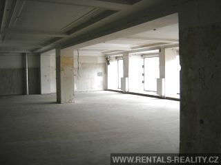 Pic 7
