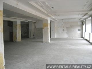 Pic 8
