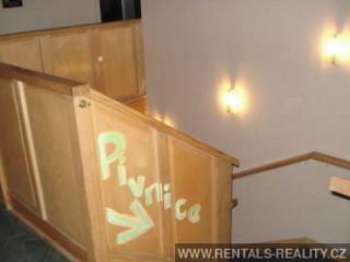 Pic 11