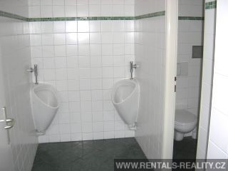 Pic 16