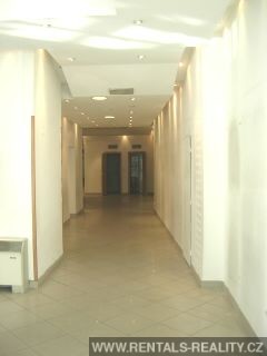 Pic 9