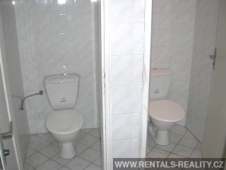 Pic 10