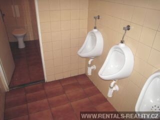 Pic 16