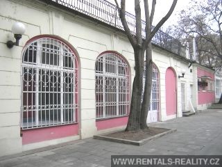 Pic 7