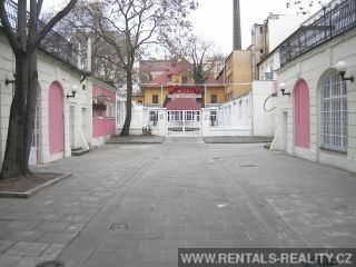 Pic 8