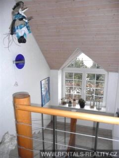 Pic 10