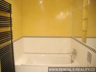 Pic 12