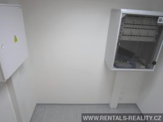 Pic 12