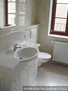 Pic 11