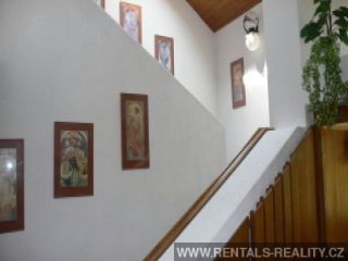 Pic 11