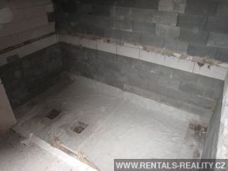 Pic 5