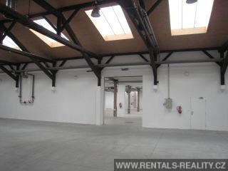 Pic 7