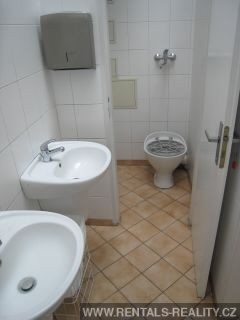 Pic 15
