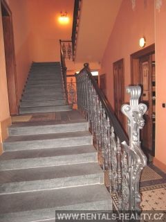 Pic 19