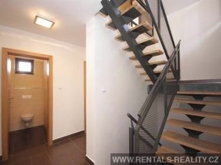 Pic 8