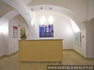 Pic 11