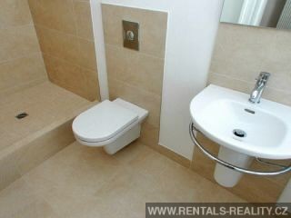 Pic 7
