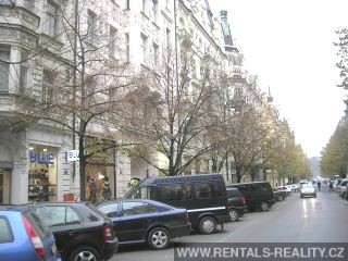 Pic 7