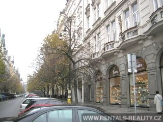 Pic 8