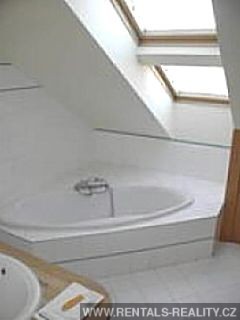 Pic 15