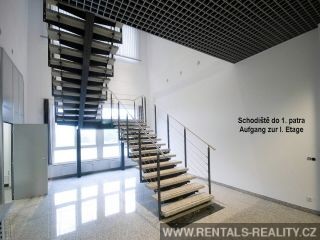 Pic 12