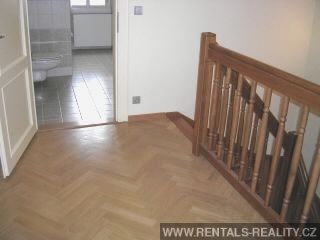 Pic 11