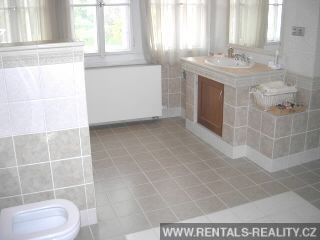 Pic 16
