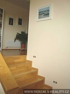 Pic 6