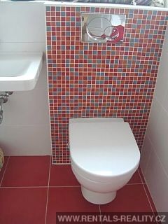 Pic 13