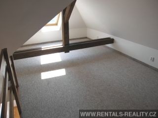 Pic 12