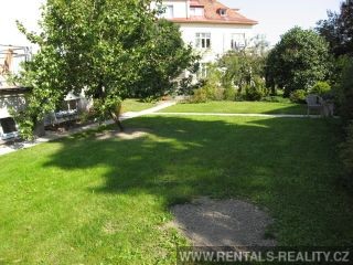 Pic 19