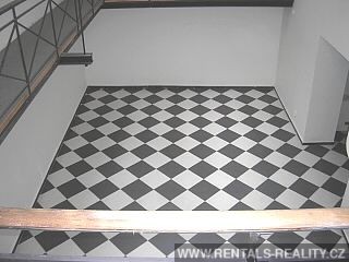Pic 10